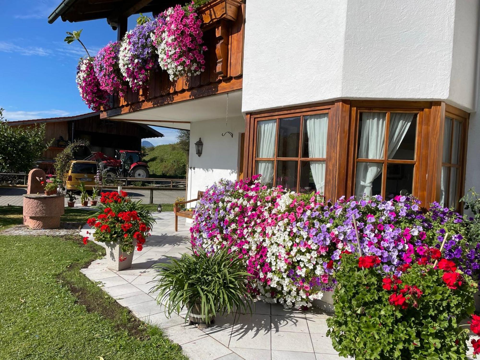 Gaestehaus Seeklause Schwangau Exterior foto